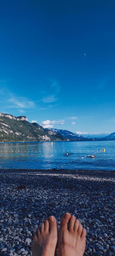 Entre Lacs Et Montagnes Cusy Eksteriør billede